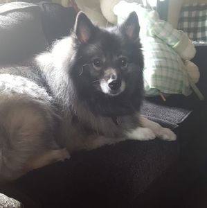 Meet your Posher, Linda